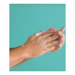 Consonant Natural Hand Wash -Beauty Shop Natural Hand Wash add2 68733 5315 general